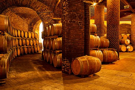 Cellar - Barrels - Wine